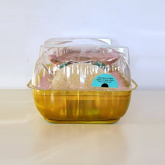 2/$50 - Na! Na! Na! Surprise - Victoria Grand - New in Package - Picture 5 of 8